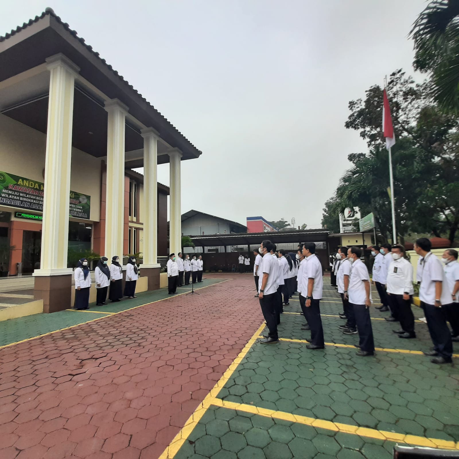 WhatsApp Image 2022-06-06 at 08.31.59.jpeg