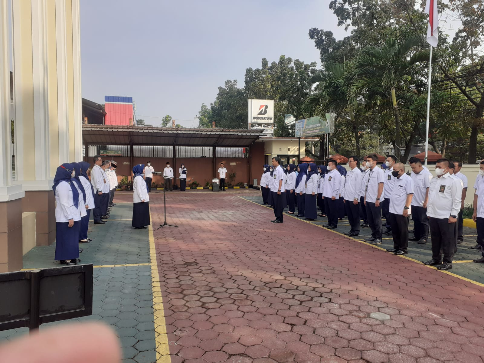 WhatsApp Image 2022-06-13 at 08.21.31.jpeg