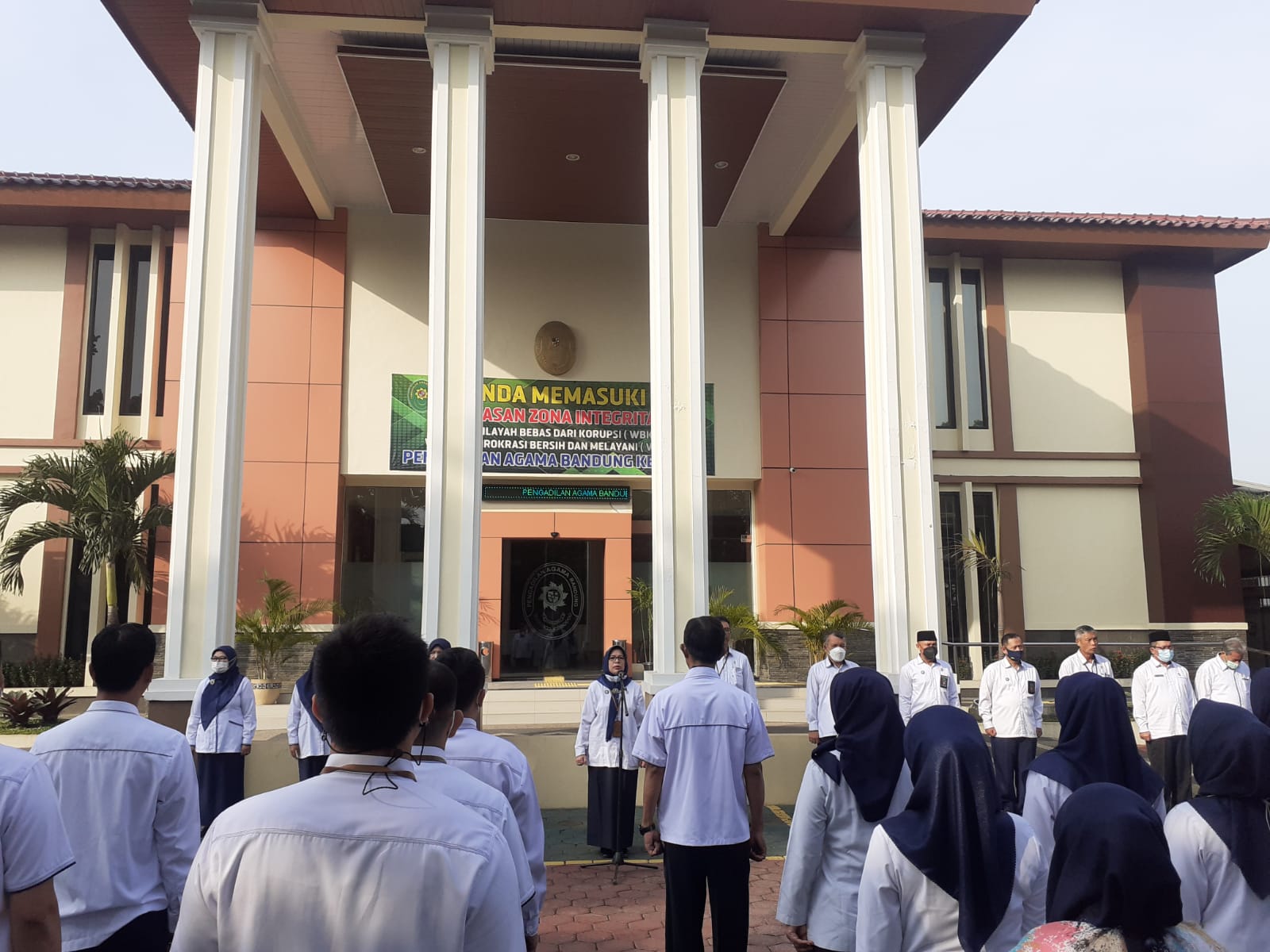 WhatsApp Image 2022-06-13 at 08.21.32.jpeg