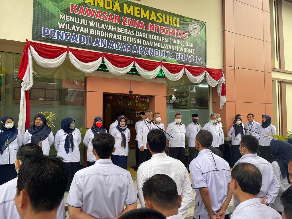 WhatsApp Image 2022-08-15 at 18.47.38.jpeg