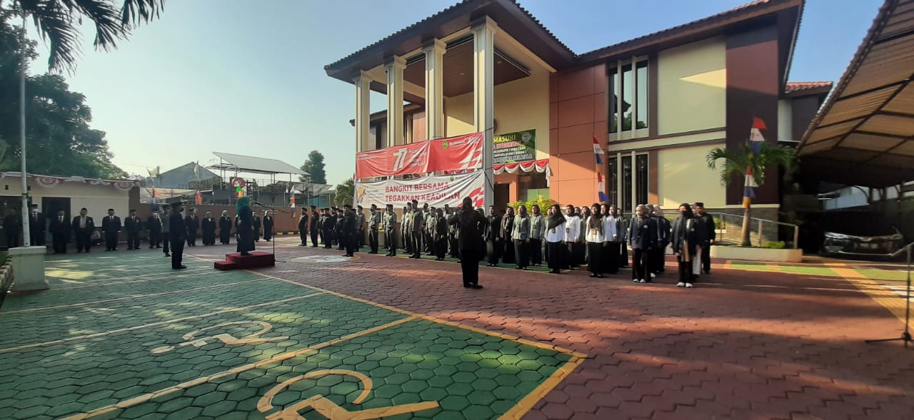 WhatsApp Image 2022-08-19 at 13.59.37.jpeg