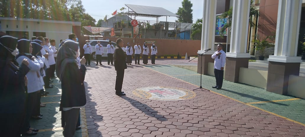 WhatsApp Image 2022-09-19 at 08.03.46.jpeg