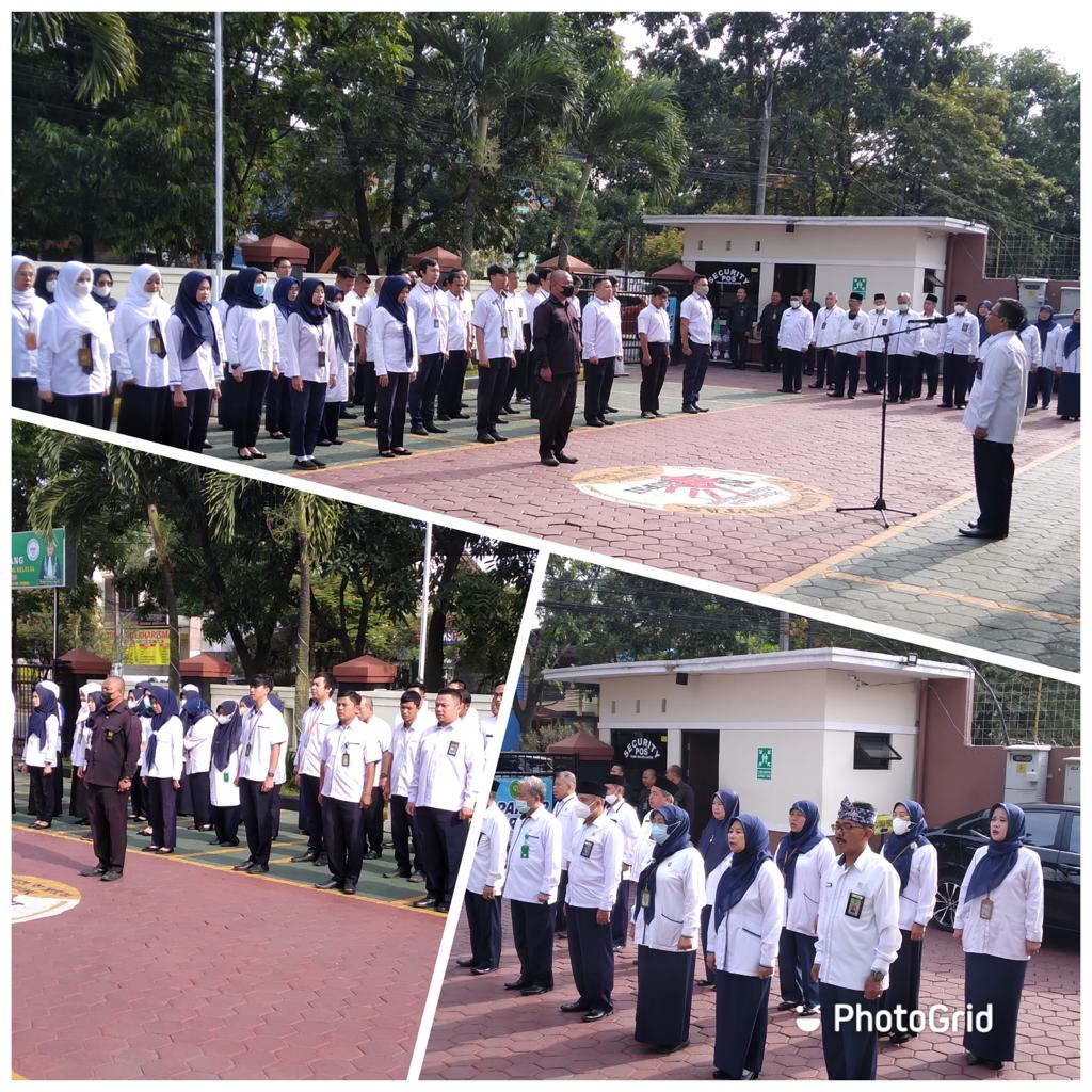 WhatsApp Image 2022-10-31 at 11.19.22.jpeg