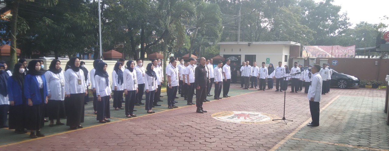 WhatsApp Image 2022-12-13 at 05.37.02.jpeg