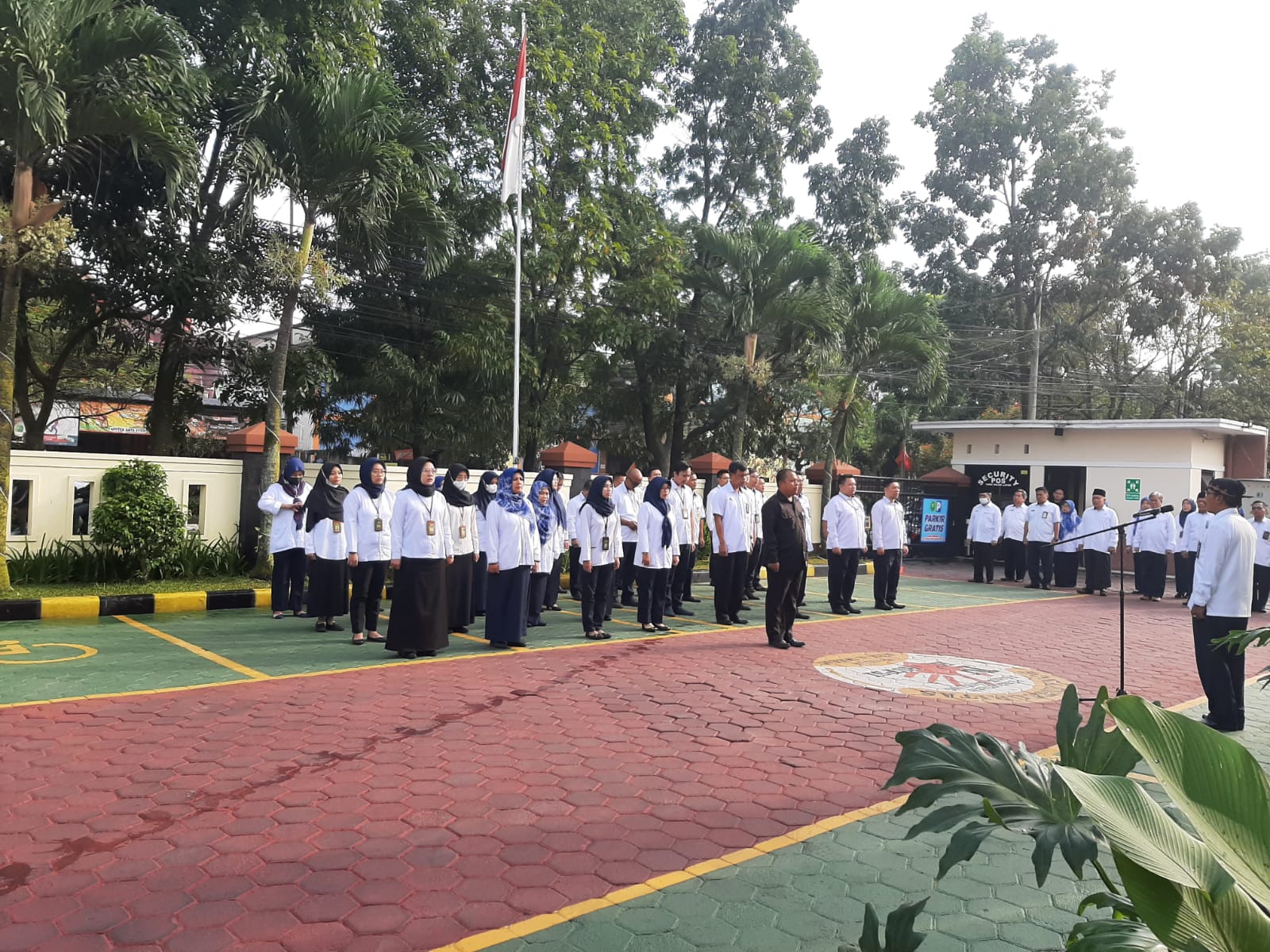 WhatsApp Image 2023-01-16 at 07.59.35.jpeg