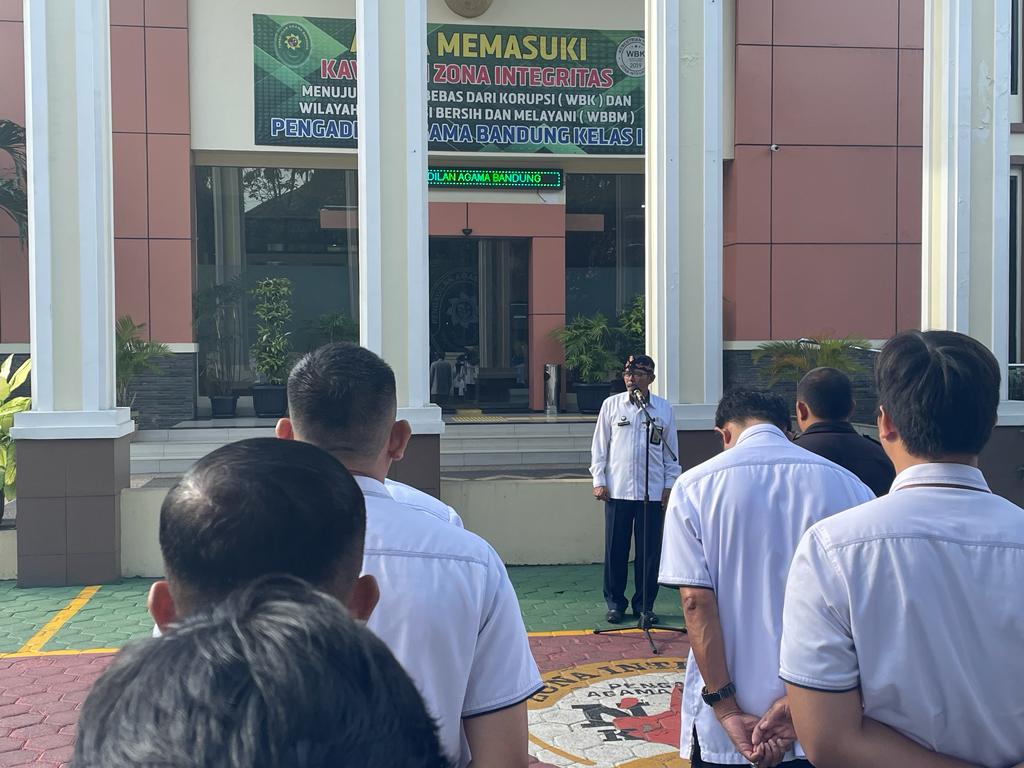 WhatsApp Image 2023-01-16 at 09.03.53.jpeg