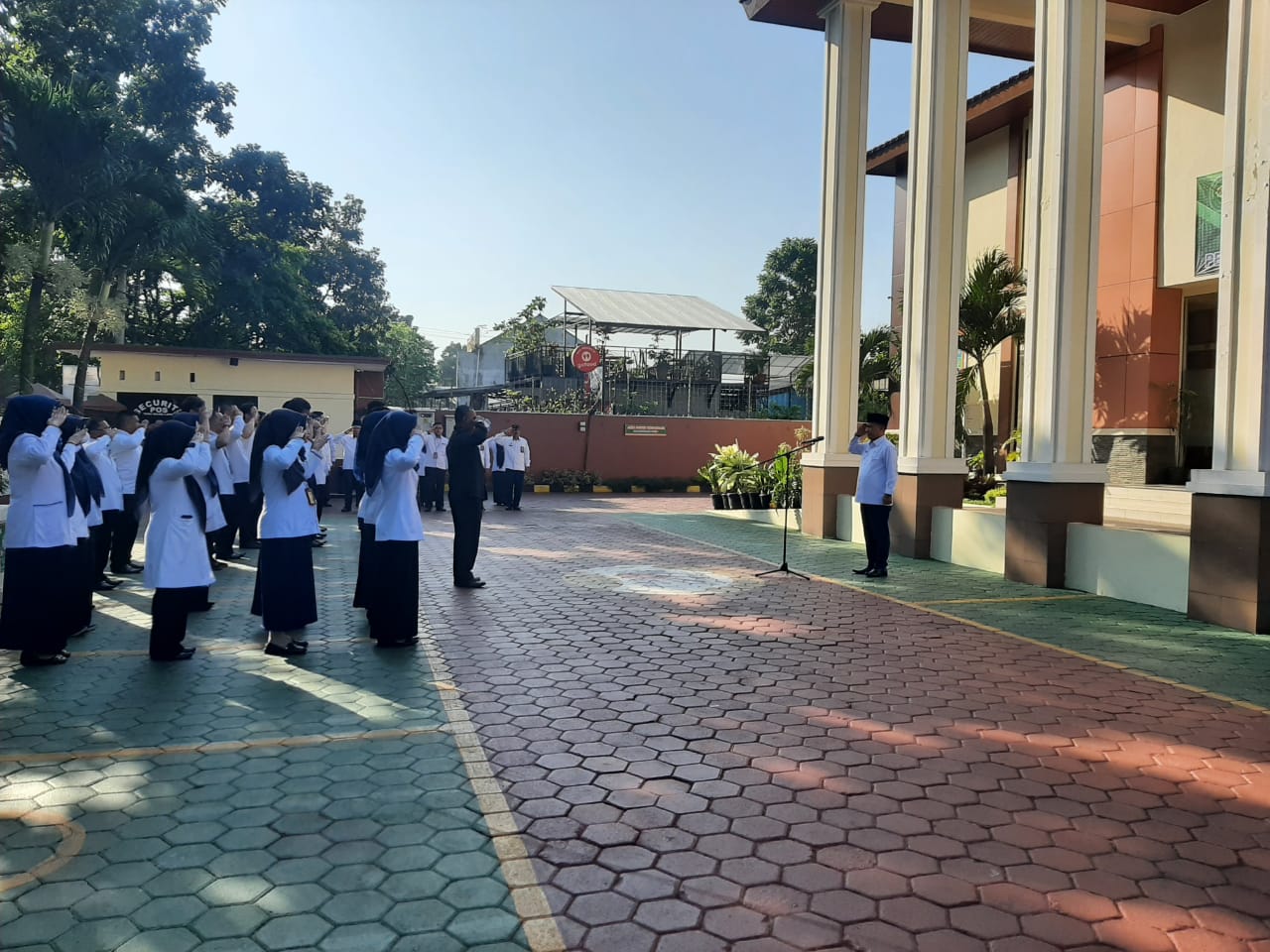 WhatsApp Image 2023-05-15 at 08.00.32.jpeg