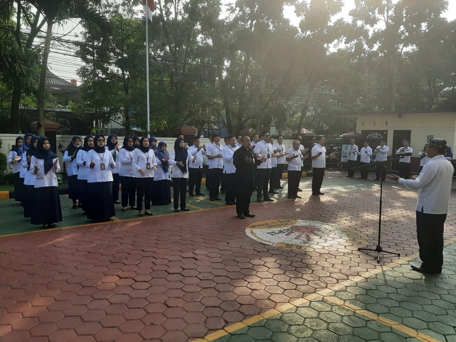 WhatsApp Image 2023-06-19 at 08.05.44.jpeg